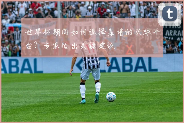 世界杯期间如何选择靠谱的买球平台?专家给出关键建议