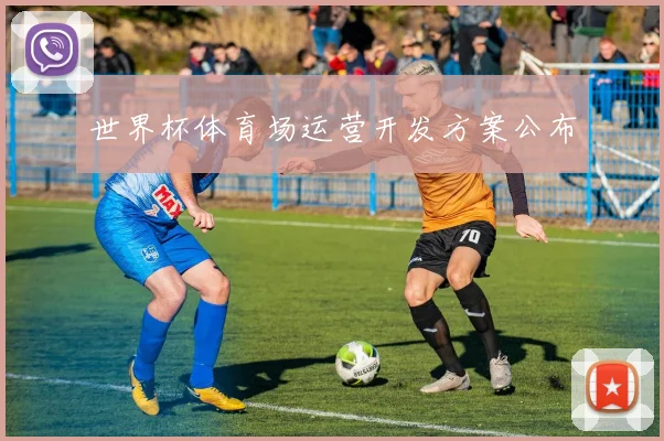 世界杯体育场运营开发方案公布