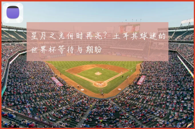 星月之光何时再亮？土耳其球迷的世界杯等待与期盼