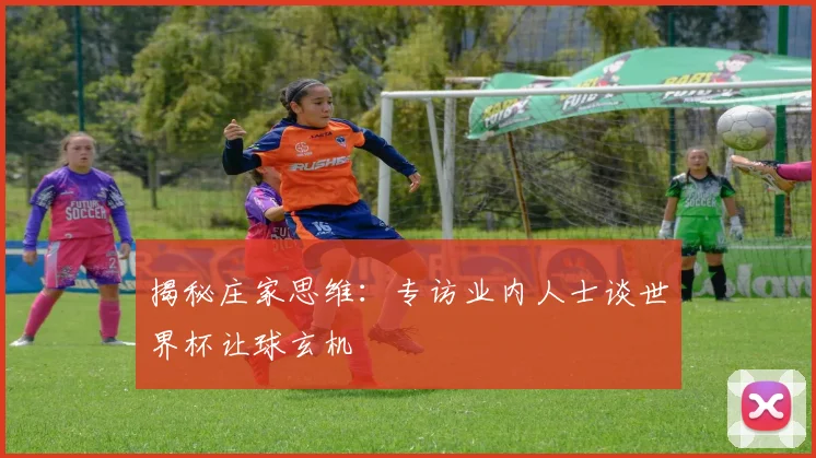 揭秘庄家思维：专访业内人士谈世界杯让球玄机