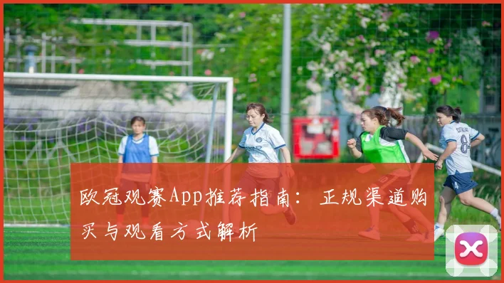 欧冠观赛App推荐指南：正规渠道购买与观看方式解析