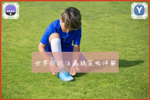 世界杯投注赢钱策略详解