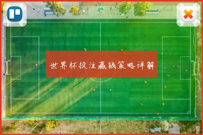 世界杯投注赢钱策略详解