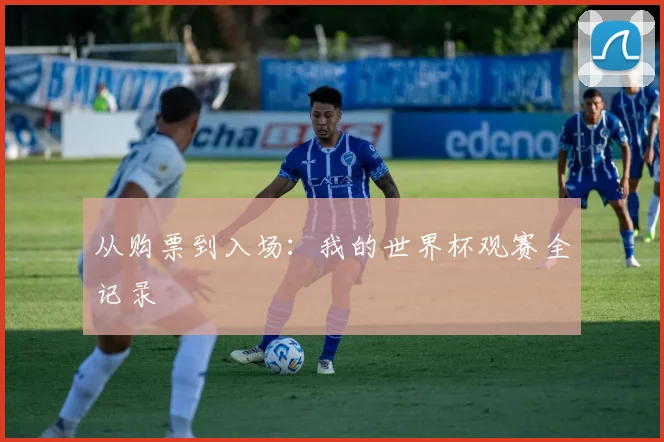 从购票到入场:我的世界杯观赛全记录