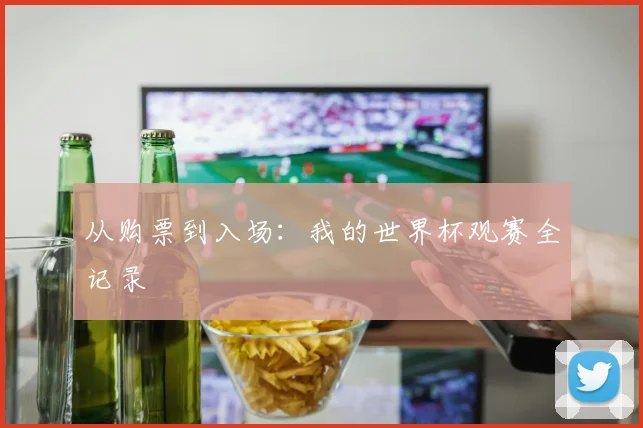 从购票到入场：我的世界杯观赛全记录