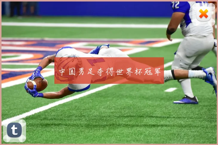 中国男足夺得世界杯冠军